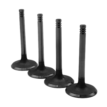 Valve Set