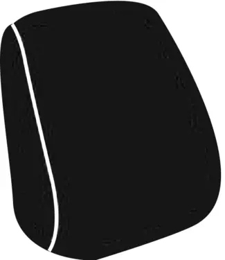 Lumbar support withadjustment motor