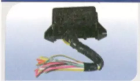 Fuse Box Assembly