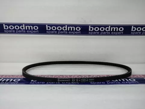 V-Cogged Belt