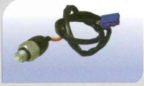 Switch Back Up Lamp(Alto/Wr)Upto 01