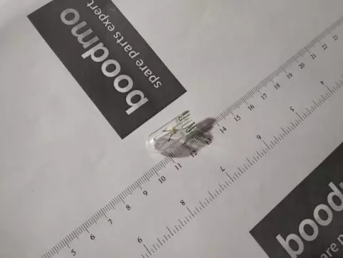 Bulb