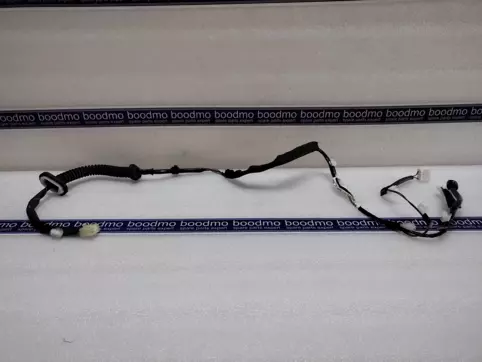 WIRE, REAR DOOR RH