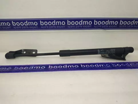 Tailgate Gas Spring Left
