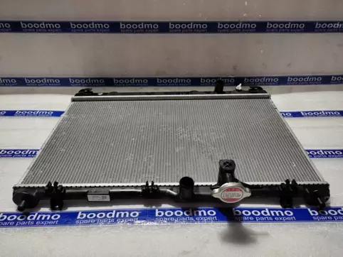 Radiator Assembly