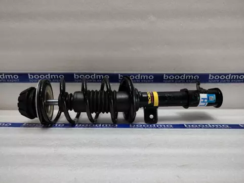 Front Suspension Strut Assembly Left