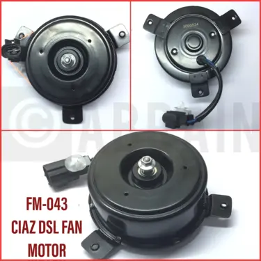 Radiator Fan Motor