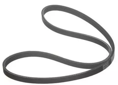 Timing Belt