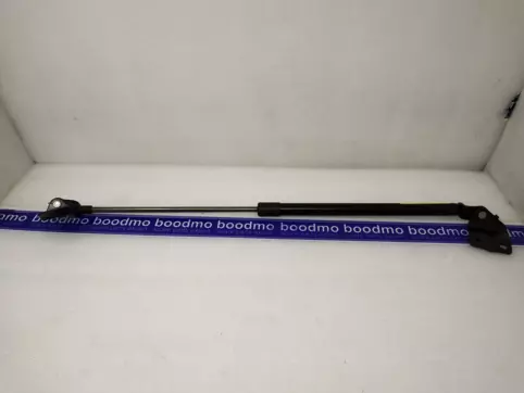 Tailgate Gas Spring Left