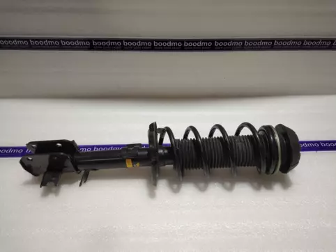 Front Suspension Strut Assembly Right