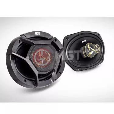 6"x 9" MS-6901 2-Way Car Speaker