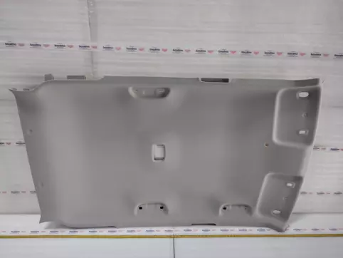 HEADLINING ASSY