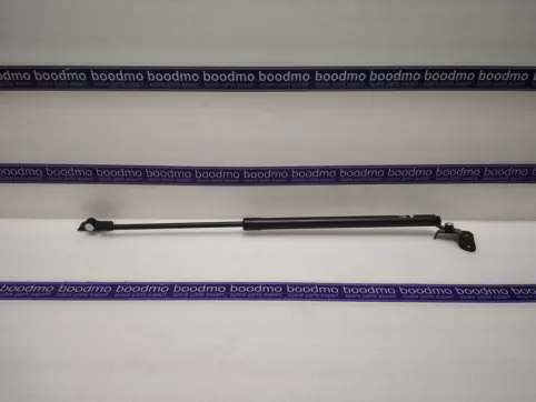 Tailgate Gas Spring Left