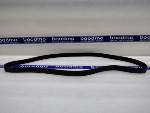 V-Ribbed Belt