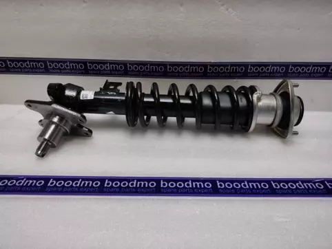 Front Suspension Strut Assembly Left