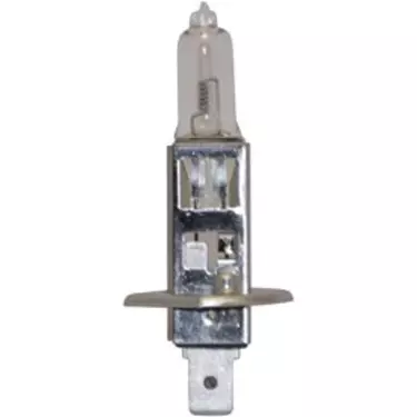 H1 Halogen Bulb 24V 70W (Single Bulb)