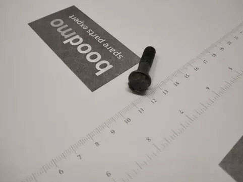 12-point head bolt