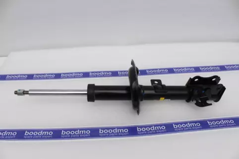 Front Suspension Strut Right