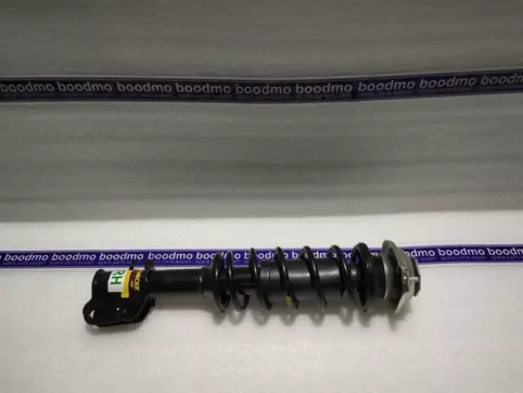 Front Suspension Strut Assembly Right
