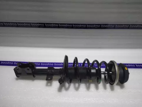 Front Suspension Strut Assembly Right
