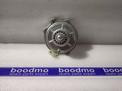 Blower Motor