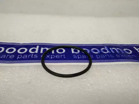 O-RING, 48.5X2.95 (ARAI)