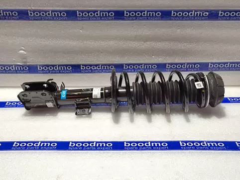 Front Suspension Strut Assembly Left