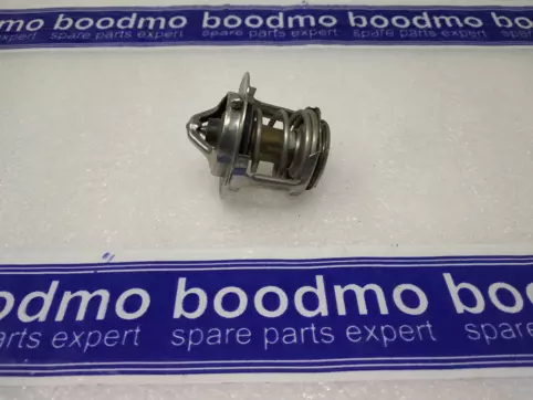 THERMOSTAT ASSY