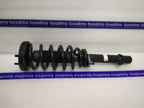 ABSORBER ASSY, R. FR. SHOCK
