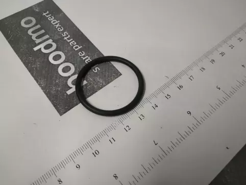 o-ring