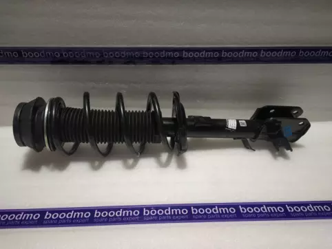 Front Suspension Strut Assembly Left