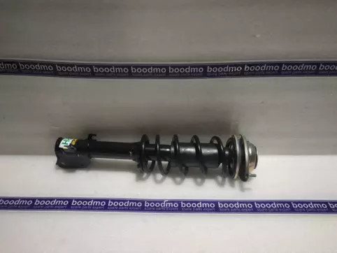 Front Suspension Strut Assembly Right