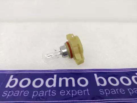 BULB PSX24W