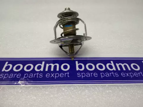 THERMOSTAT ASSY