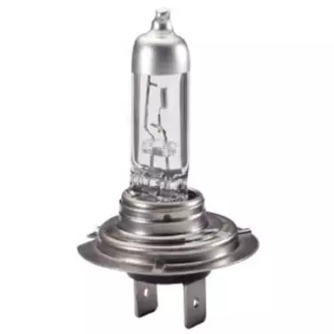 Bulb