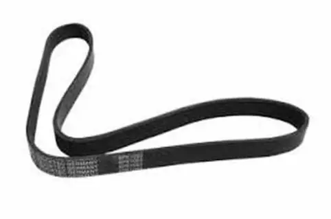 RIBBED BELT-V