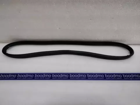 WEATHERSTRIP, FR RISER LH
