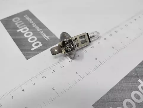 H1 Bulb 12V 100W (Single Bulb)