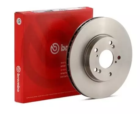 Rear Brake Disc Set