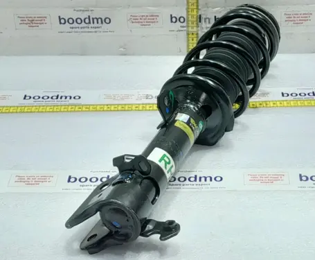 Front Suspension Strut Assembly Right