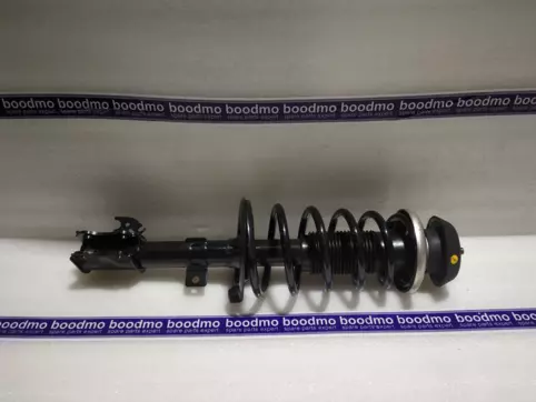 Front Suspension Strut Assembly Right