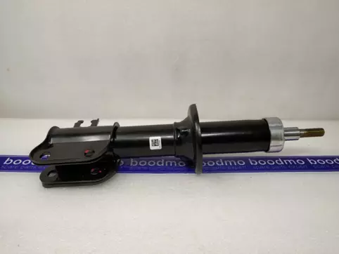Front Suspension Strut Left/Right