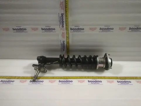Front Suspension Strut Assembly Right