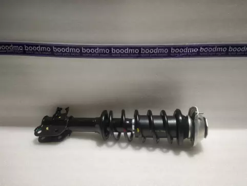 Front Suspension Strut Assembly Left