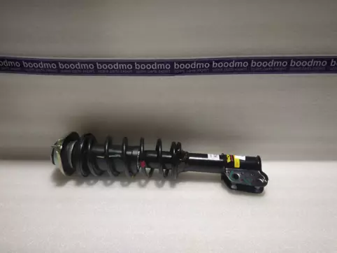 Front Suspension Strut Assembly Left
