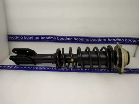 Front Suspension Strut Assembly Left