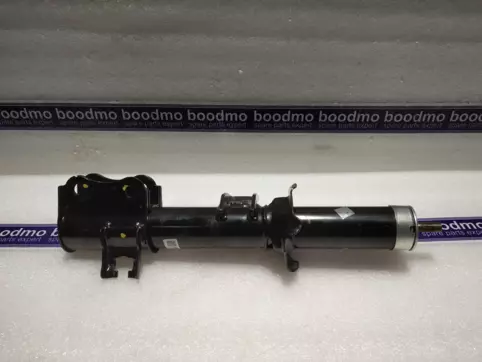 Front Suspension Strut Left