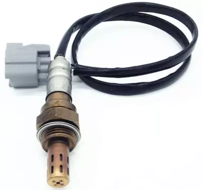 SENSOR, RR. OXYGEN