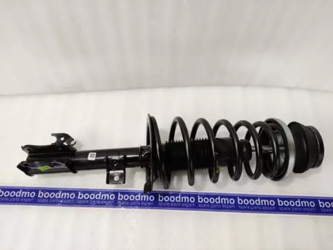 Front Suspension Strut Assembly Right