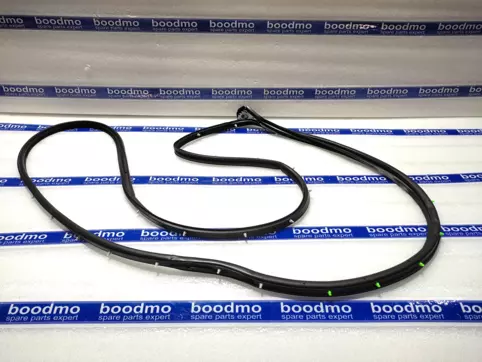 WEATHERSTRIP, FRONT DOOR OPNG, RH